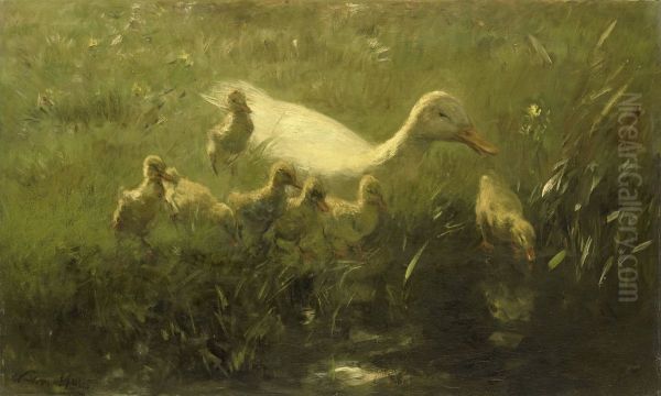 Witte eend met kiekens - view 1