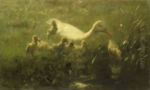 Witte eend met kiekens Witte eend met kiekens