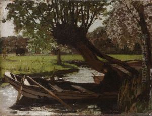 Boot met knotwilg