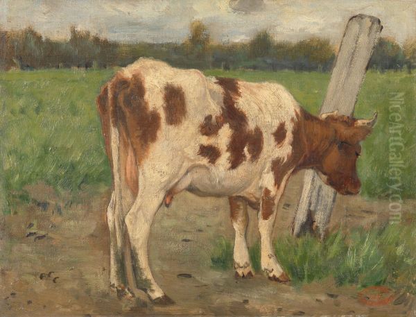 Cow - view 1