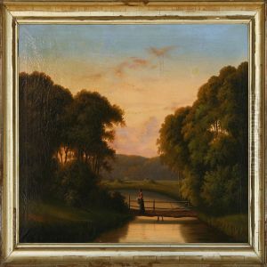 Evening Scenery From Zealand