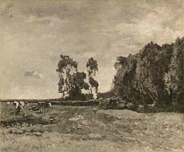Weide met koeien - view 1