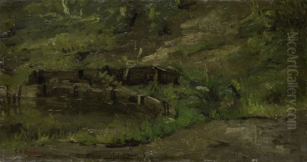 Weidelandschap - view 1