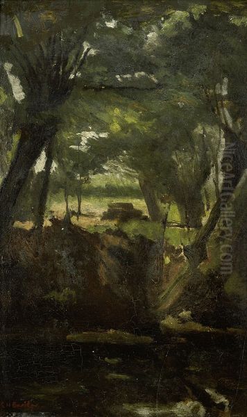 Forest View - view 1