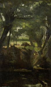 Forest View