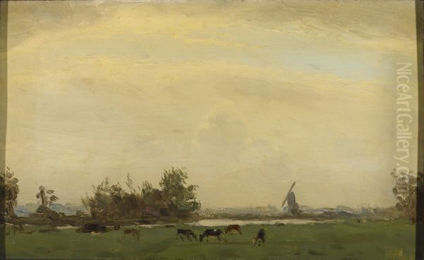 Weidelandschap aan het Spaarne - view 1