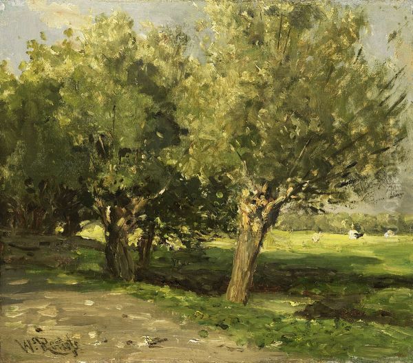 Willow Trees - view 1