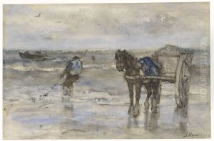 Schelpenvisser op het strand Schelpenvisser op het strand