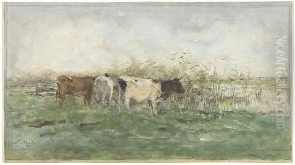 Koeien bij een plas - view 1