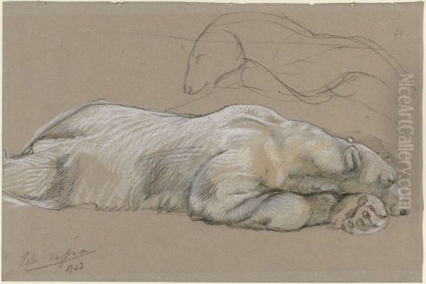 Studies van een liggende ijsbeer - view 1