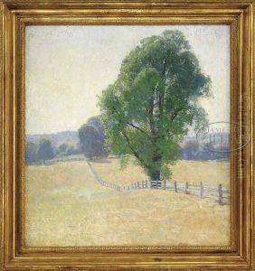 Fence Line