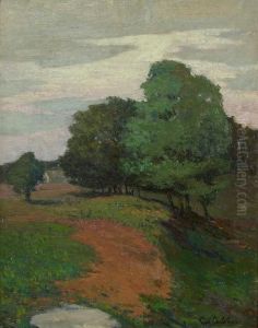 Hilly Landscape