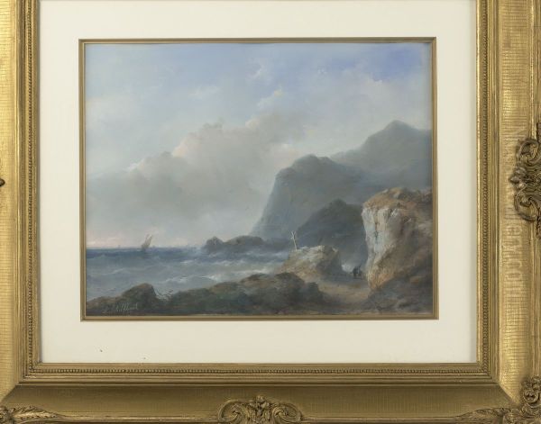 Een rotsachtige kust - view 1