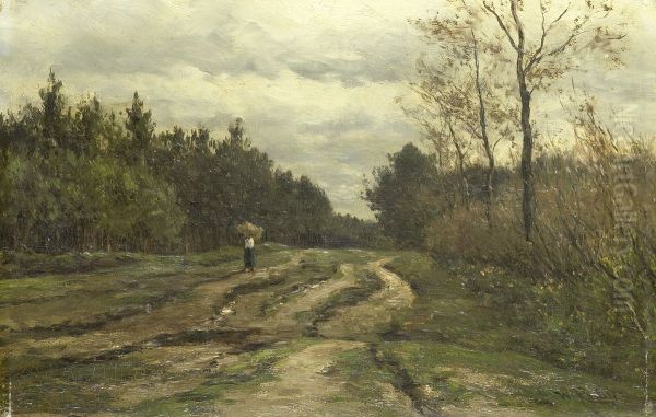 Country road near Laren, North Holland - view 1