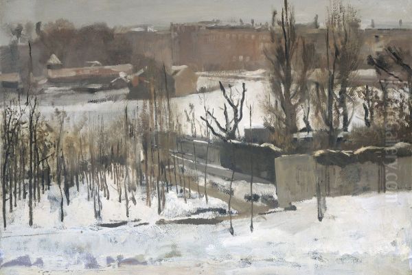 View of the Oosterpark in Amsterdam in the Snow - view 1