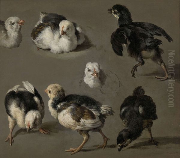Zeven kuikensi - view 1