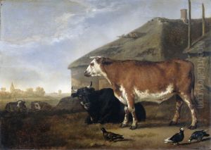Cattle Cattle
