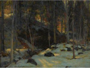 Sunlight Through Trees by John Fabian Carlson