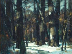 Sunny Glades by John Fabian Carlson
