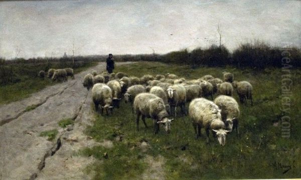 Schapen op de heide - view 1