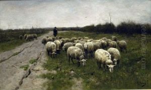 Schapen op de heide Schapen op de heide