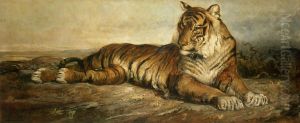 Tigre