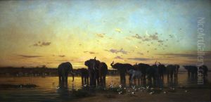 Elephants d'Afrique