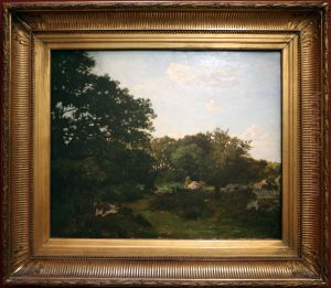 Fontainebleau forest