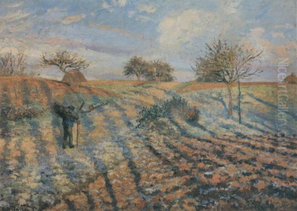 Hoar-Frost at Ennery - view 1