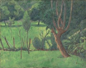 Paysage Paysage
