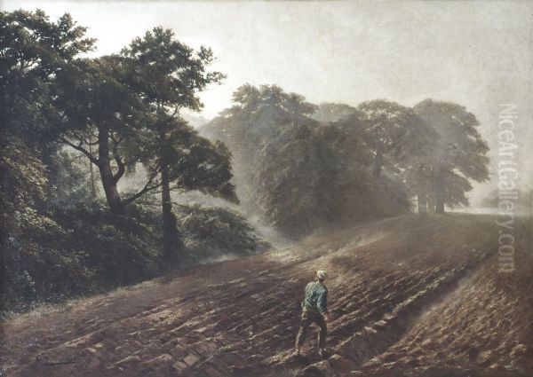 Autumn sowing - view 1
