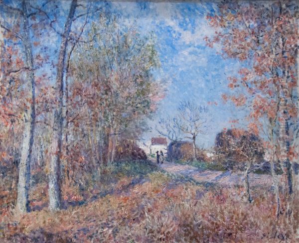 ou - view 1