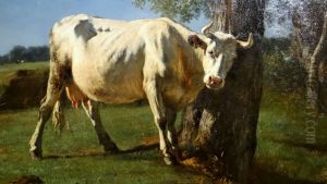 Cow rubbing by Constant Troyon