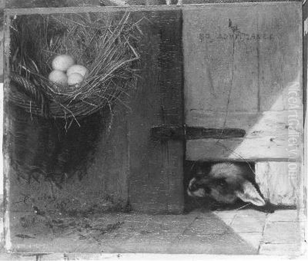 Het bedreigde nest - view 1
