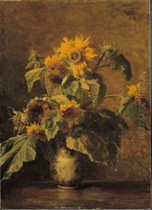 Zonnebloemen