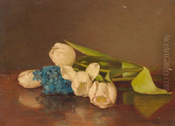 Liggende tulpen - view 1