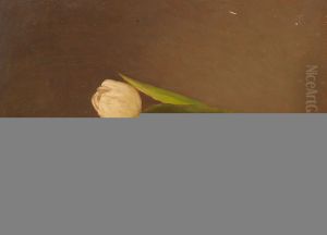 Liggende tulpen by Jacob Taanman