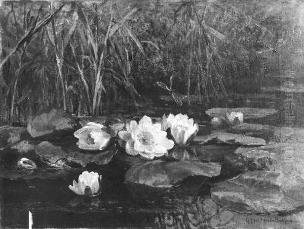 Waterlelies - view 1