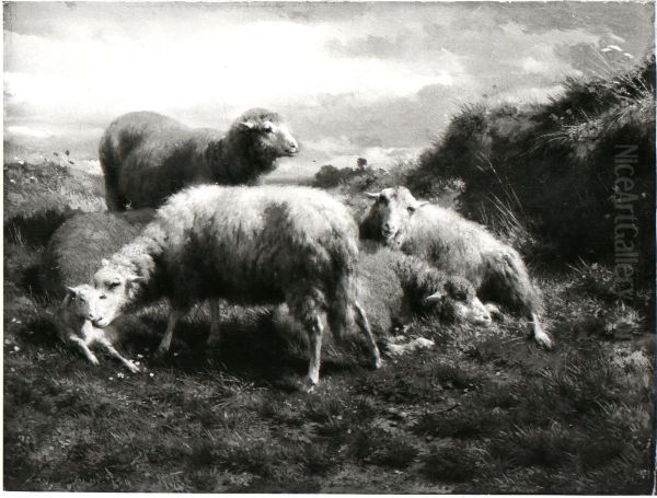 Een landschap met schapen - view 1