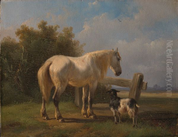 Paard in de weide - view 1