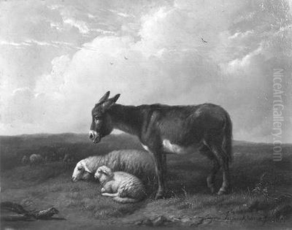 Ezel en schapen - view 1