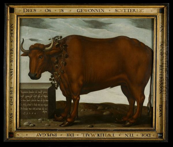 Een door de schutterij bij het papegaaischieten gewonnen os-An ox as an Archery prize - view 1
