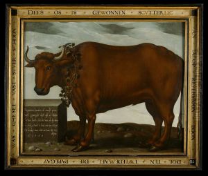 Een door de schutterij bij het papegaaischieten gewonnen os-An ox as an Archery prize