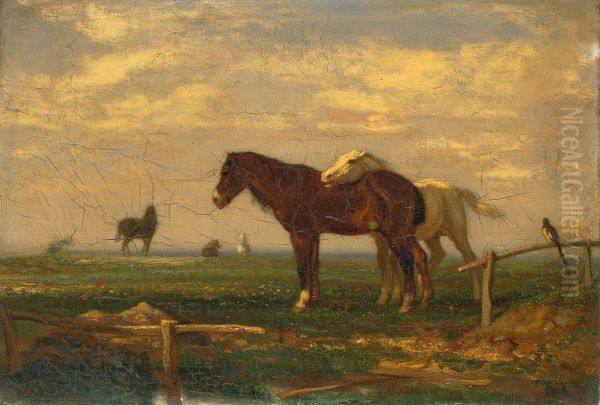 Een wei met paarden - view 1