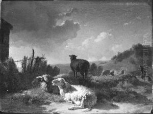 Een kudde schapen in bergachtig landschap Een kudde schapen in bergachtig landschap
