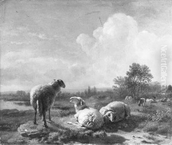 Grazende en rustende schapen in een vlak landschap - view 1