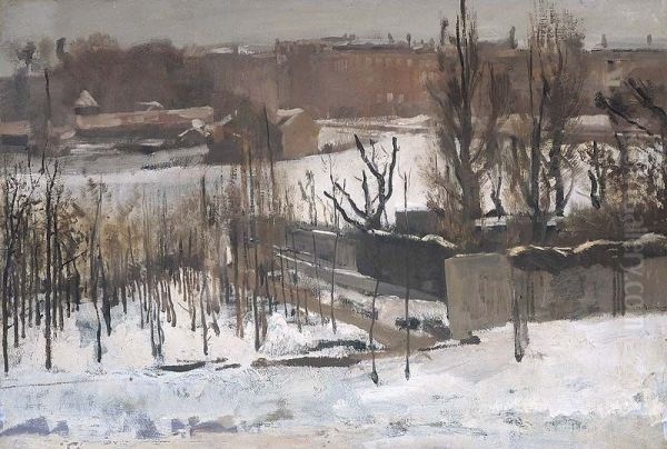 Gezicht op het Oosterpark te Amsterdam in de sneeuw - view 1