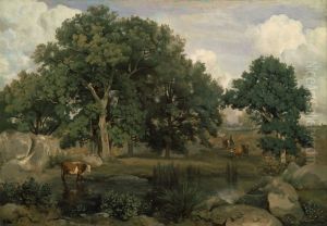 Foret de Fontainebleau