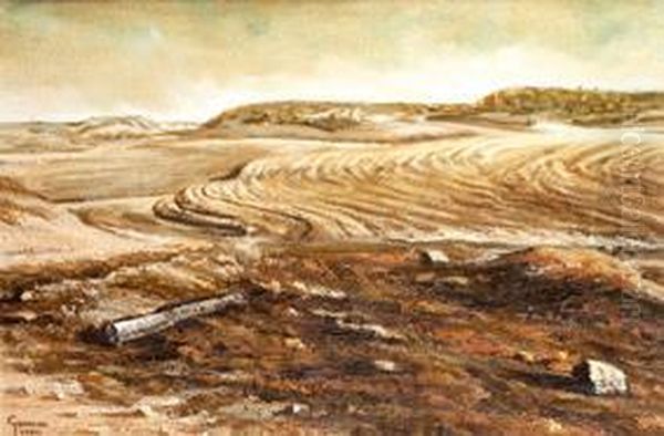Paisaje - view 1
