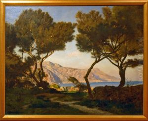 Paysage de la Cote d'Azur (Eze, Cap d'Ail, la "Tete de chien"), vus de Saint-Jean-Cap-Ferrat. Paysage de la Cote d'Azur (Eze, Cap d'Ail, la "Tete de chien"), vus de Saint-Jean-Cap-Ferrat.